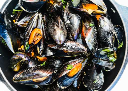 The 8 Best Seafood Restaurants in Iowa!